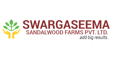 Canvas Logo