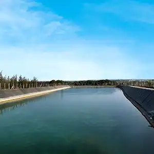 sirulaseema 1 visuals